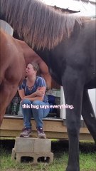 Pure Trust & Love: Animals Choose to Hug You! 🤗 Heartwarming Moments of Unconditional Love