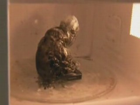 téléphone portable dans micro ondes