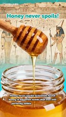 5 Facts That Will Shock You!