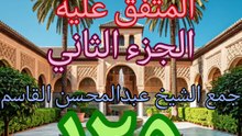 الجامع لما في الصحيحين (125)