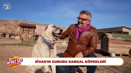 Dikkat Ayvaz Şef Çıkabilir - Sivas | 5 Aralık 2025