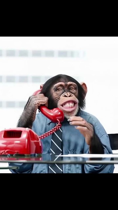 Monkey unknown number