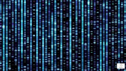 “Genetic Testing for Seniors How It Helps Pick the Right Cancer Treatment”