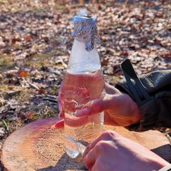 Creating Exquisite Forest Appetizer for Outdoor Dining! 🤌