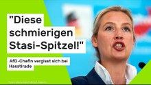 Alice Weidel: AfD-Chefin vergisst sich bei Hasstirade