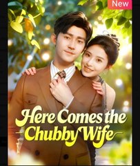 Here Comes the Chubby Wife Chinese Drama - English Sub