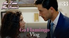 Go Flamingo Vlog #33