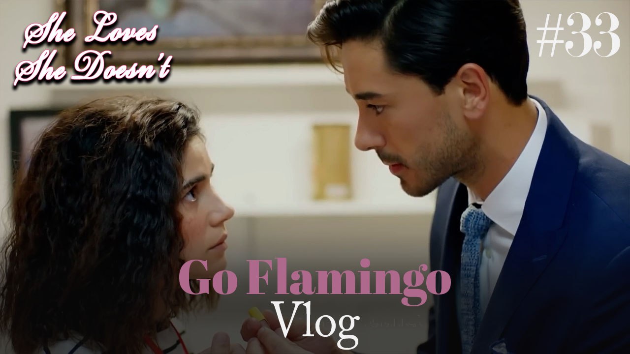 Go Flamingo Vlog #33