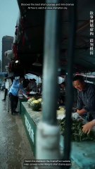 From Shadows He Commands Chinese Drama