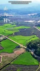 Before the Gold Before the Name Chinese Drama English Sub