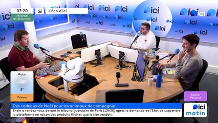 Chatpristi, boutique spécialisée pour les animaux à Périgueux