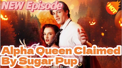 [New] 🐺💎 Alpha Queen Claimed By Her Contracted Sugar Pup #dramabox #kalostv - Full Movie