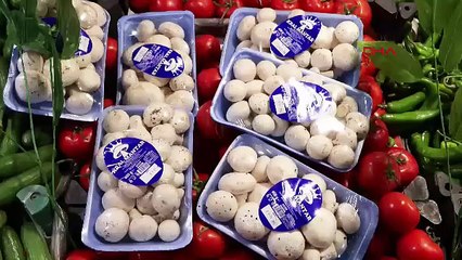 İstanbul’da korkutan zehirlenme dalgası: Bir ayda 60 kişi hastanelik oldu