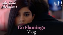Go Flamingo Vlog #32