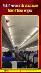 IndiGo फ्लाइट के अंदर उड़ते हुए दिखाई दिया लोग इस पर जमकर मजे ले रहे हैं लोगों का कहना है कि कबूतर उड़ान भरते भरते थक गया इसलिए फ्लाइट के अंदर आराम करने के लिए आ गया है