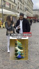 Abonne toi 💯❤️ YouTube Sophieonly1 Snapchat Sophie_75000