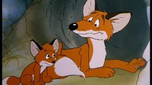 🦊🌲 Vuk le Petit Renard | Dessin Animé Complet en Français