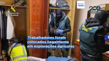 Polícia liberta mais de 300 trabalhadores escravizados em condições "desumanas" em Espanha