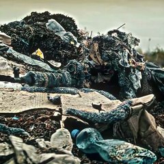 Kiss video Korean kiss romantic kiss songs