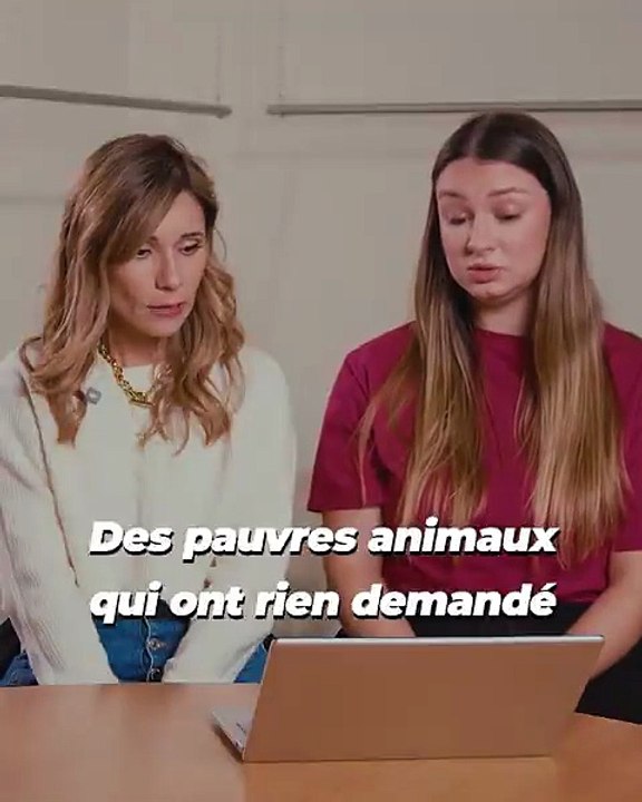 Nouvelle vidéo de PETA - 3 influenceuses réagissent aux dessous cruels de la laine