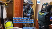 Policja uwolniła ponad 300 pracowników przetrzymywanych w nieludzkich warunkach w Hiszpanii