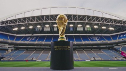 월드컵 운명의 본선 대진, 내일 새벽 결정 / YTN