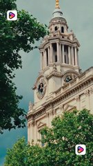 Surviving Luca Shortmintz