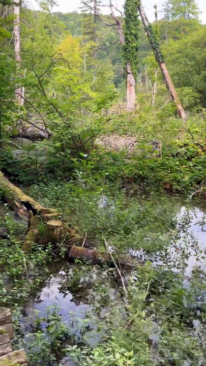 CA GRIMPE, CA GRIMPE jusqu'aux cascades