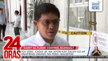 DOJ Usec. Cadiz Jr. na ayon kay Zaldy Co ay hinatiran umano ng pera, nagbitiw | 24 Oras