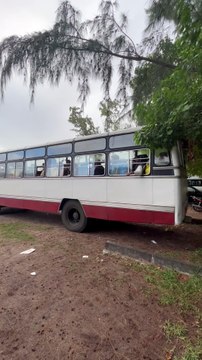 DECOUVERTE des belles plages avec palmiers