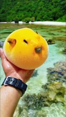 #funny video #shortvideo #viralvideo #funnyadda#