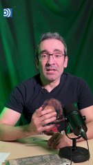 'Five nights at Freddy's 2' arrasará, pero no funciona nada