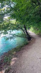 JE RECOMMANDE FORTEMENT ce parc