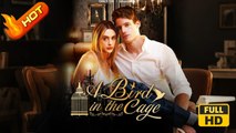 A Bird In The Cage | Full Movie HD - SweetRomance Romantic Love Triangle Romantic Intimate Possessive USA Drama ShortFilms Hot