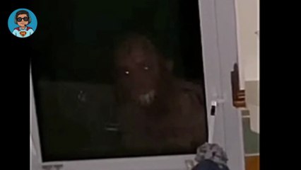 Scary videos that deceive the eyes | most creepy ghost videos|| The Hidden Dread