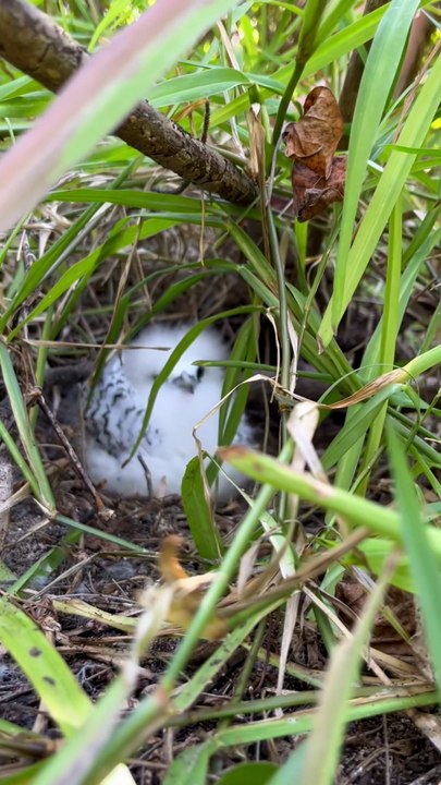 LA BEAUTE de l'eau à l'île Maurice