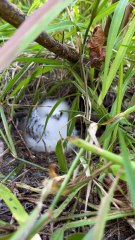 LA BEAUTE de l'eau à l'île Maurice