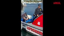 San Diego: cane trascinato al largo dalla risacca, i bagnini lo salvano