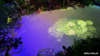 Claude Monet, a Milano una mostra immersiva a 100 anni dalla morte