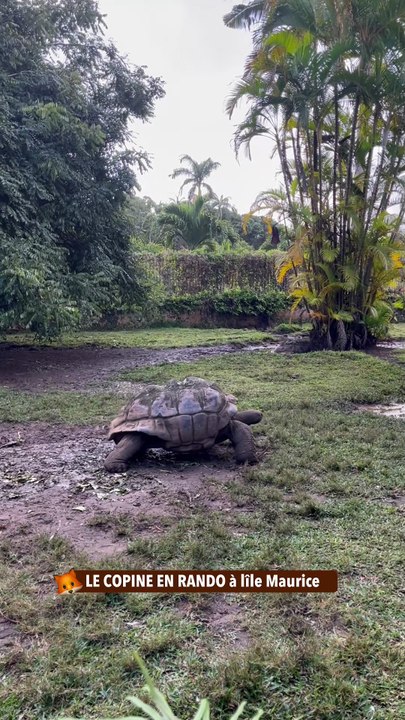 LE COPINE EN RANDO à lîle Maurice
