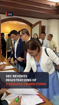 SEC revokes 2 Discaya firms’ registration over false ownership information