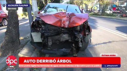 Vehículo derriba árbol tras impacto nocturno | DPC con Paola Rojas