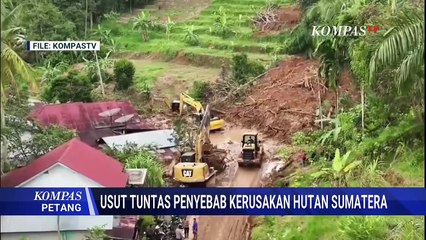 Eks Kabareskrim Soal Timsus Polri Usut Asal Usul Kayu Gelondongan Banjir Sumatera | KOMPAS PETANG