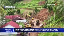 Eks Kabareskrim Soal Timsus Polri Usut Asal Usul Kayu Gelondongan Banjir Sumatera | KOMPAS PETANG