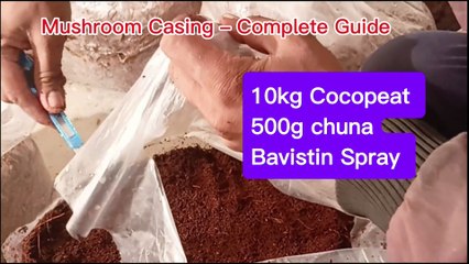 Mushroom Casing Step-by-Step | Complete Casing Process for High Yield | Mushroom Farming Guide