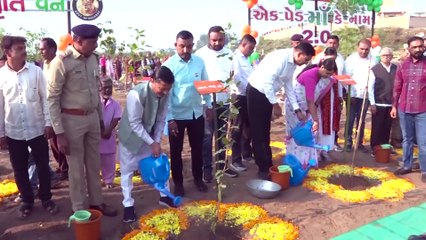 #GUJARAT #NARMADA SARDAR PATEL 150TH JANAM JAYANTI VRUSHAROPAN BY DARSHNABEN VAGHELA