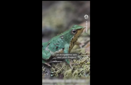 Comment transformer la société : la différence entre l’économie de nature et l'économie extractiviste ?