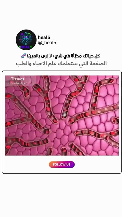 DNA size