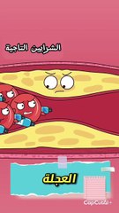 ما هي دعامات الأوعية الدموية؟ _explorepage _foryoupage _boostyourreels _trendingreels(MP4)