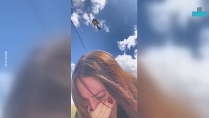 Willie Wagtail Attacks Woman on Lunch Break